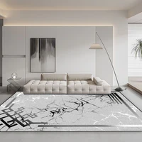 Modern Home Grey Carpets Living Room Decoration Abstract Rugs Light Luxury Sofa Floor Mat Anti-slip Bedroom Cloakroom Lounge Rug 2