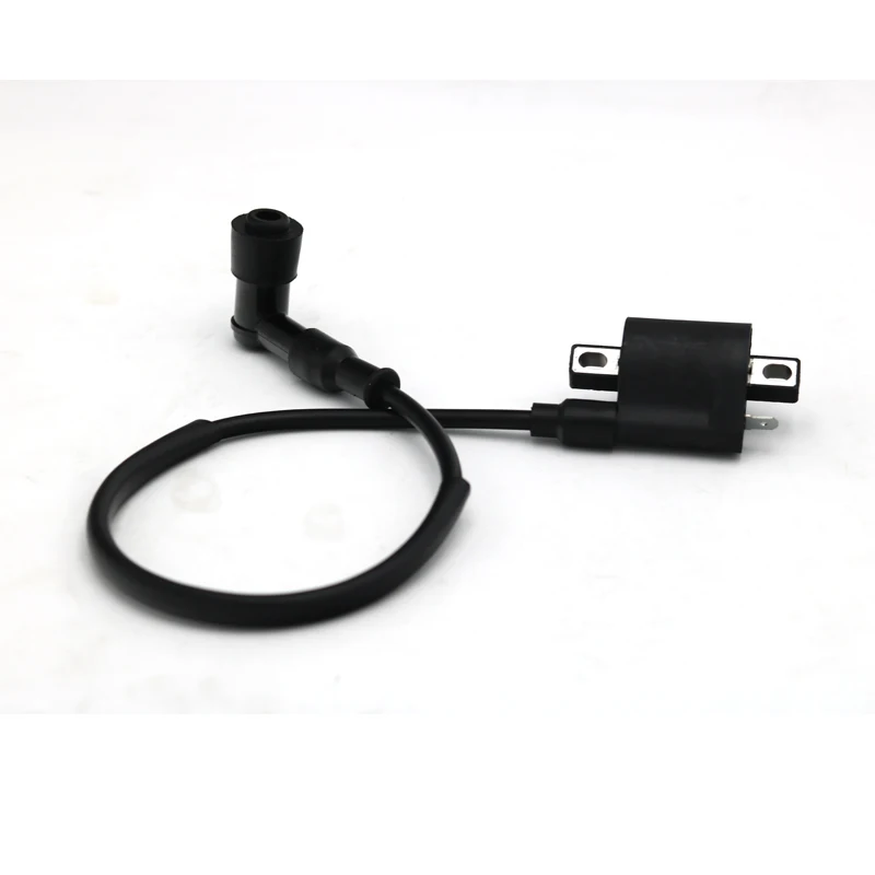 Bobina Accensione 12V Universale Per Moto E ATV - 50cc A 250cc - BCSMMCAR FG51A
