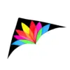Large Delta Beach Kite Easy to Fly Colorful Huge Kite for Adults Large Giant Kites for Backyard Trip Yard Holiday Outdoor Game 1