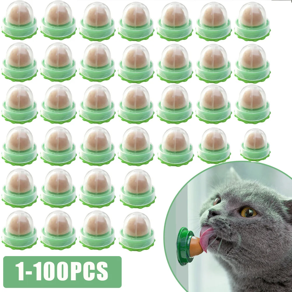 1100pcsCatCatnipLickingCandyNutritionCatSnacksCatnipSugar