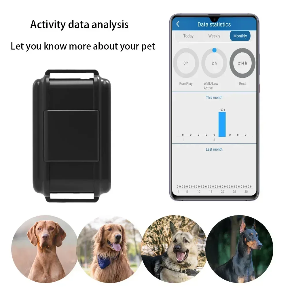 4G GPS Tracker Collar for Dog Animal Realtime Tracking GPS Locator Waterproof Anti-lost Voice Monitor Geofence Free APP Tracker