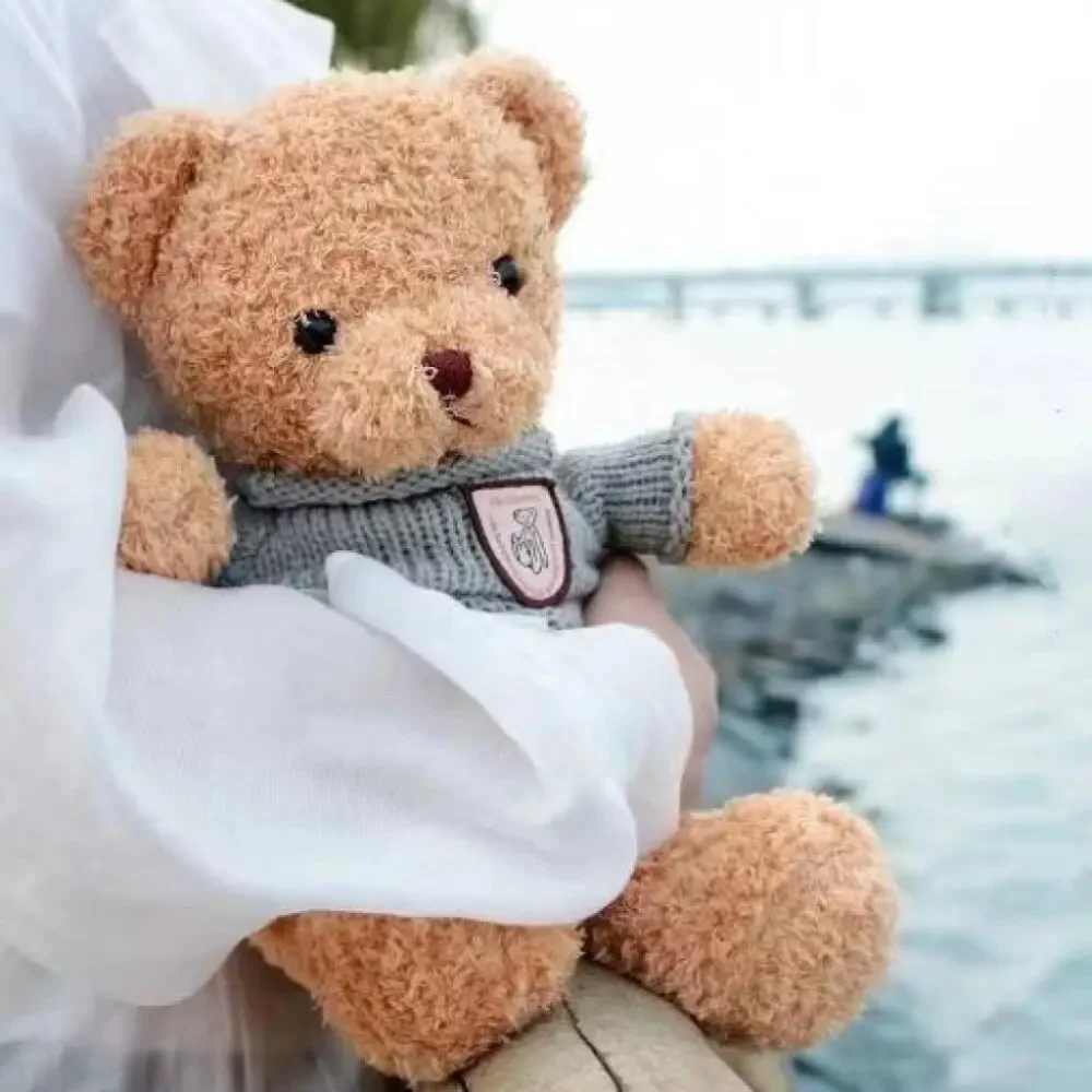 Cute bear dress up doll,40cm Bear Plush Toy , the Best Gift for Kids,Good Guy ,Stuffed Animal Brithday Gift 4