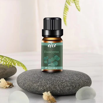 6-Piece Premium Essential Oil Set 6 Fragrance Options for Diffusers Aromatherapy Eucalyptus Citronella Designed for Humidifiers 3