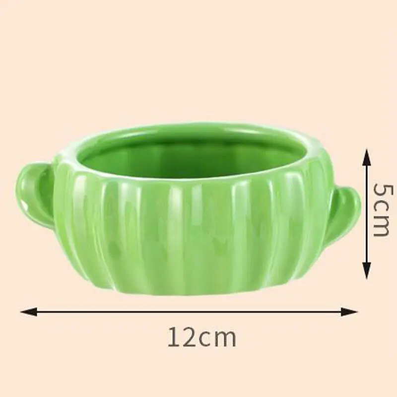 Cactus Food Bowl & Bath Tub with Water Bottle Holder 6