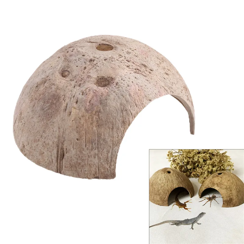 Natural Coconut Shell Cave 1
