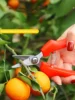 1pc minimalist pruning scissors, stainless steel plant branch scissors, for outdoor gardens 6