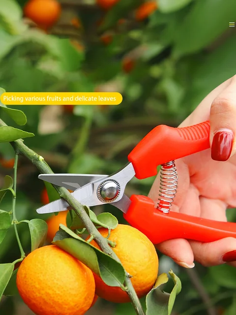 1pc minimalist pruning scissors, stainless steel plant branch scissors, for outdoor gardens 6