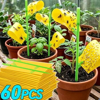 Trappole Adesive per Insetti 15/60x, per Mosche della Frutta, Afidi, Mosche Fungine, per Protezione di Piante da Interno ed Esterno, Cattura Sicura