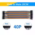 Male to Male 20CM