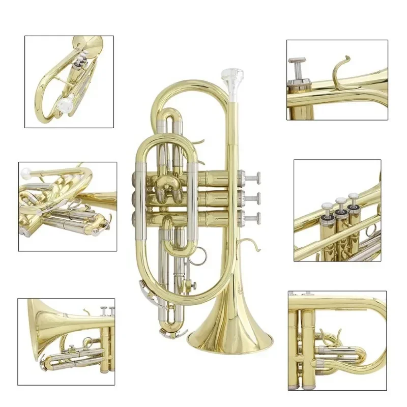 Professional Bb Cornet B Flat Gold Plated Brass Cornet Instrument with Mouthpiece Gloves Cleaning Cloth Carrying Case Parts