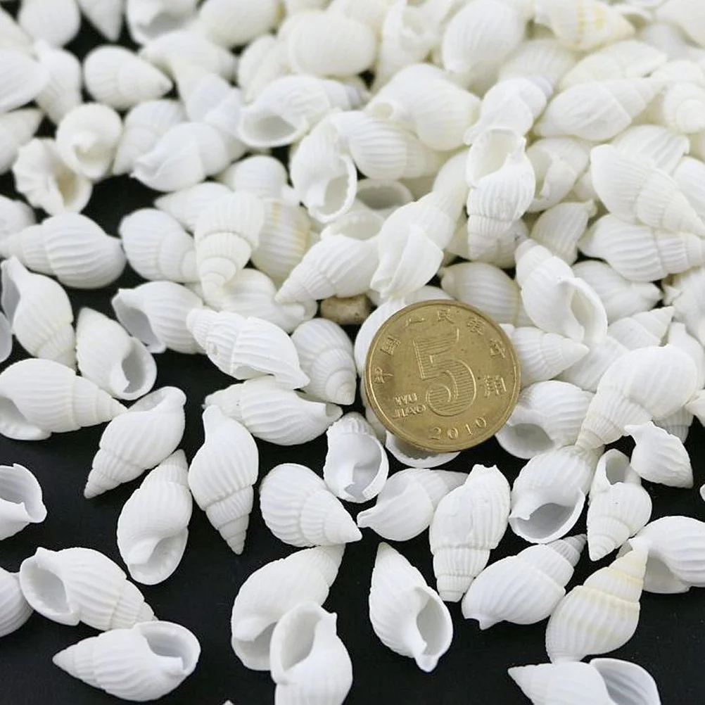 100pcs Small shell nautical wedding decorations natural shell ornaments