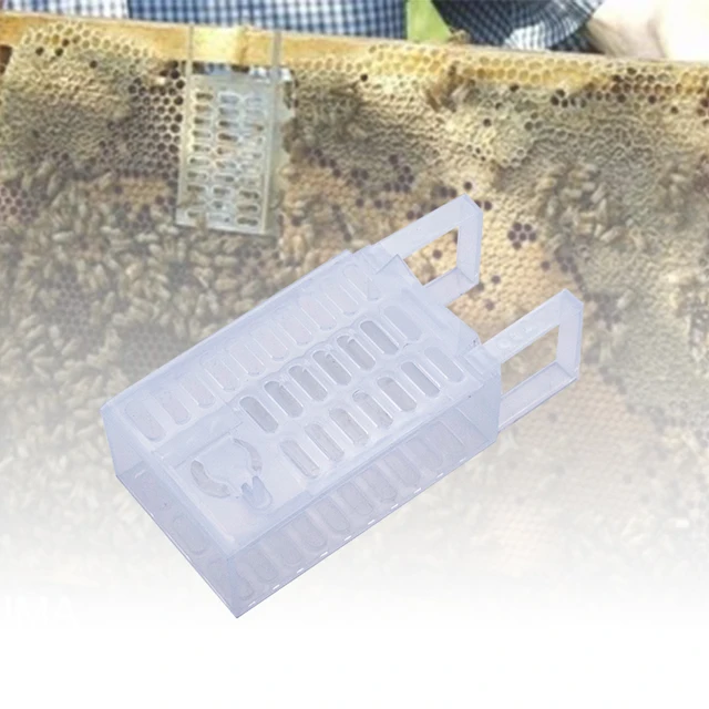 Teljesen Állítsa Be A Készlet Varroa Vezérlő Ketrecét És Queen Cage -T Elleni Küzdelemhez Collector Bee Berendezéssel - Image 6