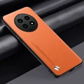 Danxia orange