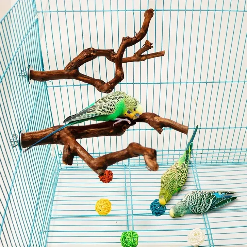 Pet Standing Stick 2