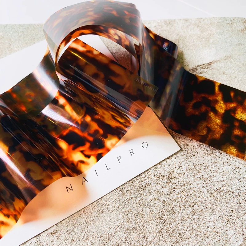 Le Chat écaille De Tortue : Le Guide Complet