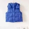 Lemon Wunder Puff Winter New Style Vertical Collar Down Jacket Vest Women's Short Commuting Casual Detachable Hooded Warm Jacket 5