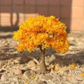 OrangeA 10cm