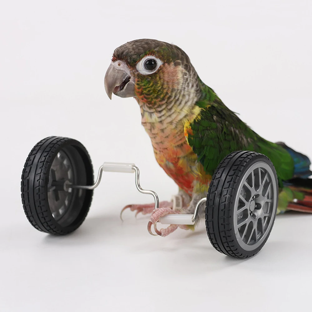 1pc Parrot Balance Car Toy Mini Interactive Intelligence Training Toy for Pet Bird Parrot Cockatiels Budgie Skill Training Props