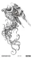 Image 24