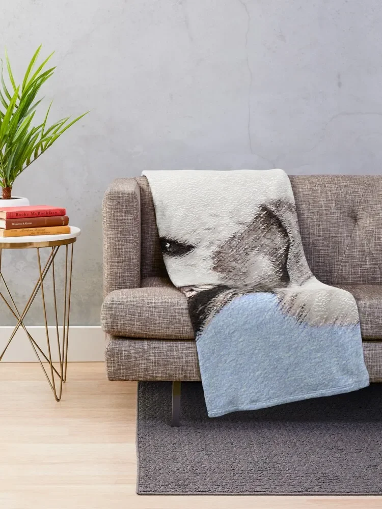 Bedlington �׸��� ������ ���, ���� �ö��� ǫ���� ���� ���