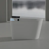 Tankless Smart Toilet With Bidet Built In, One-piece Bidet Toilet Seat, Auto Flush, Auto Open/Close,Heated Seat, Warm Water 2