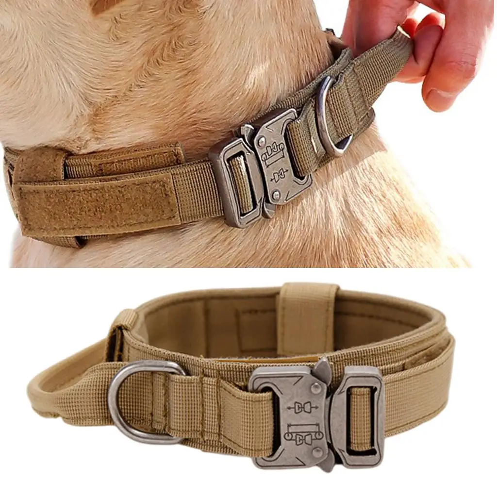 Breathable Nylon Dog Collar Outdoor Training Leash Kit Pet Accessories for Medium and Large Breed Dogs