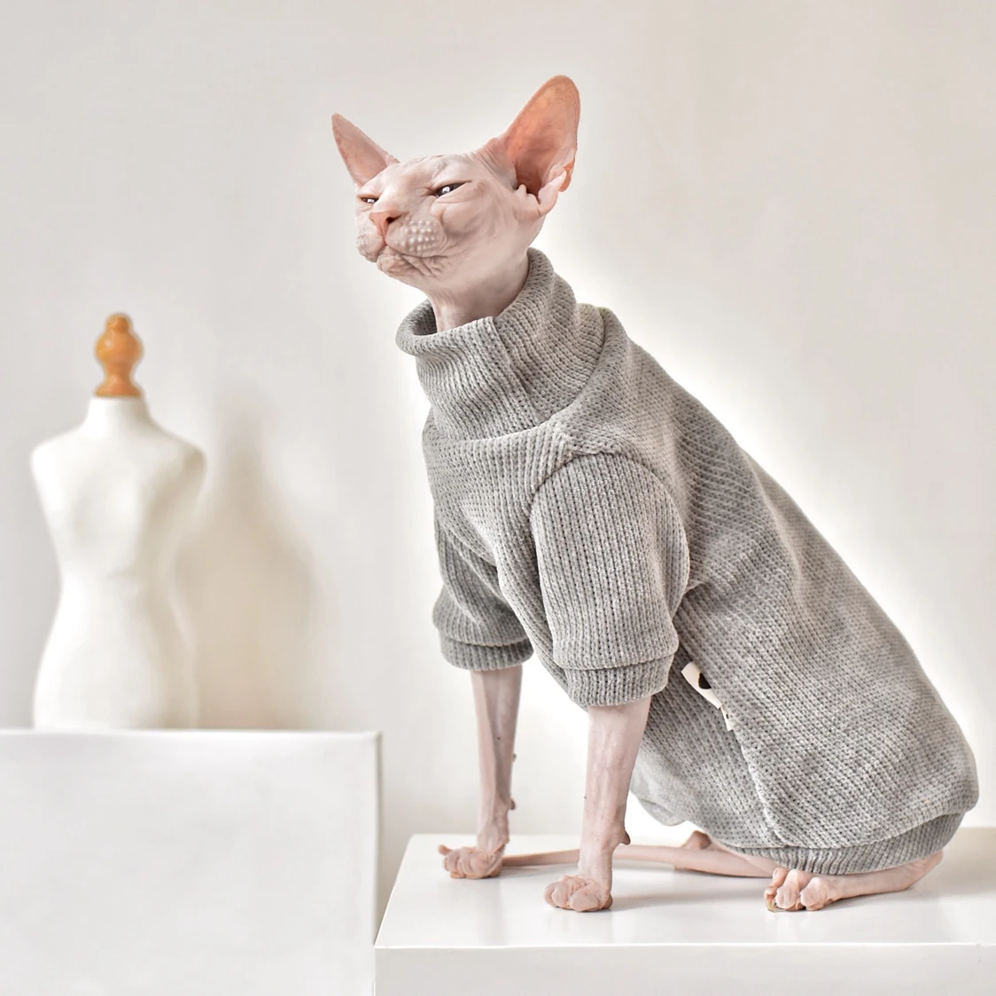 Sphynx suéter elegante y cálido para gato, sin pelo para gato Calvo, vestido cómodo de invierno, ropa para gato Sphynx|Ropa para - AliExpress