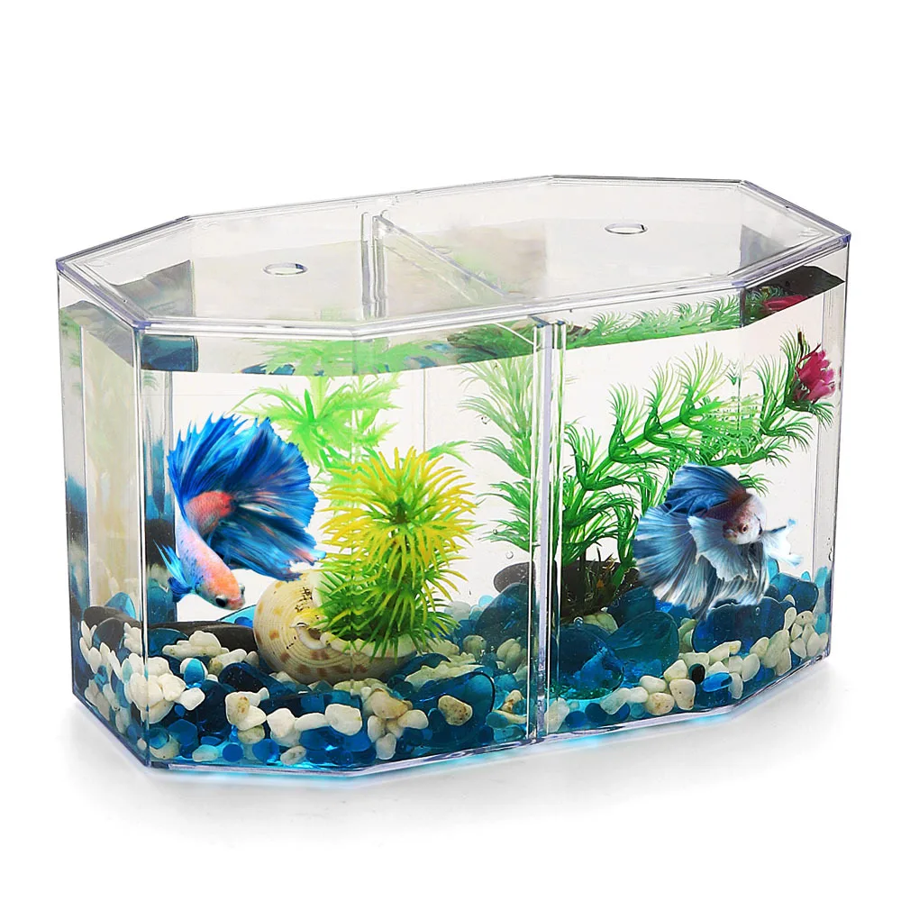 Guppy Fish Bowl