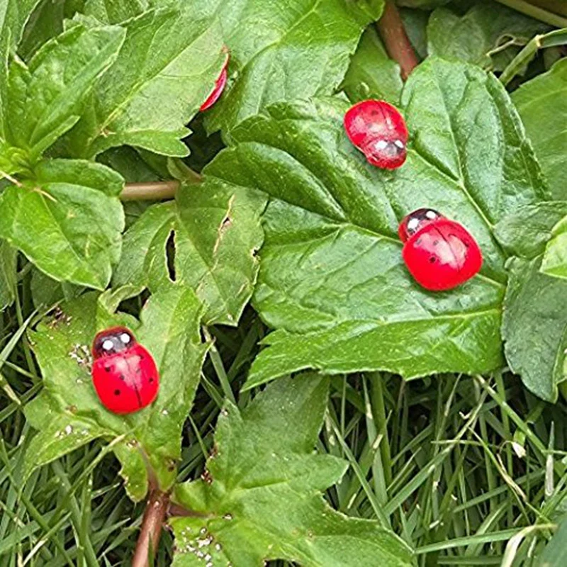 100pcs Tiny Ladybugs Craft Garden Red Landscape Ladybug Decoration DIY Little  Home Decoration Accessories