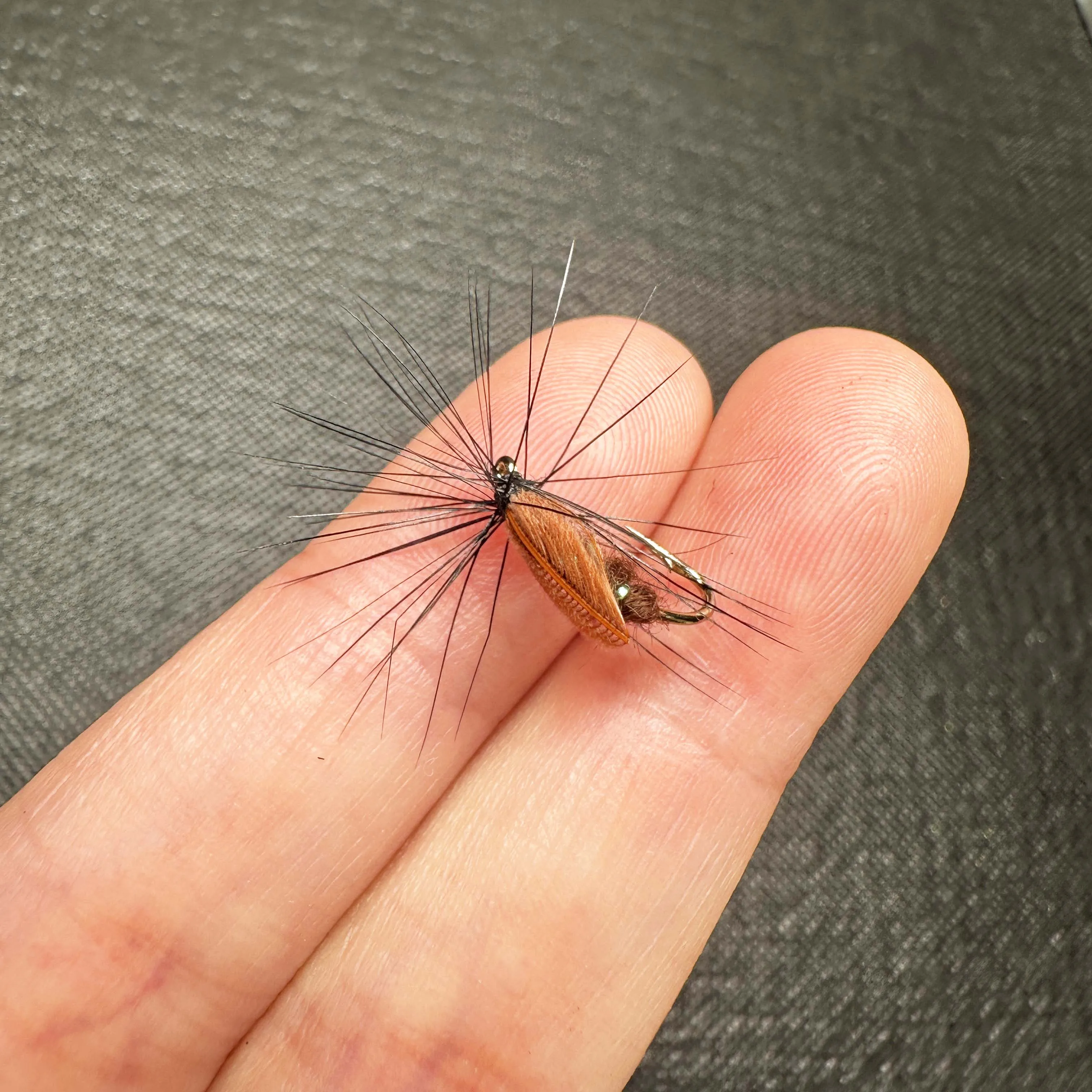 Slide image 328ce18d6bf042fe895e91a155e66094