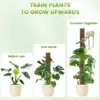 24/36/48 Inch Plastic Moss Pole for Monstera, Large D Shaped Poles Pot Climbing Plants Work Sphagnum Moss, Garden Growth Stake 2