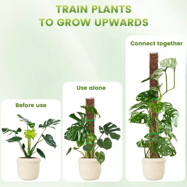 24/36/48 Inch Plastic Moss Pole for Monstera, Large D Shaped Poles Pot Climbing Plants Work Sphagnum Moss, Garden Growth Stake 2
