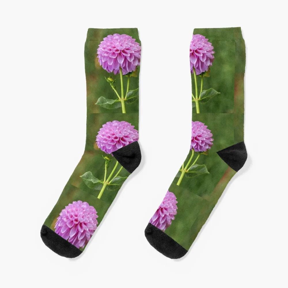 Perfect Purple Dahlia Socks kids socks heated socks Boy Socks Women's