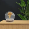 Glowing Wooden Base Eternal Flower Glass Dome Display Case Transparent Dustproof Cover Home Decor Vases Fine Workmanship 6