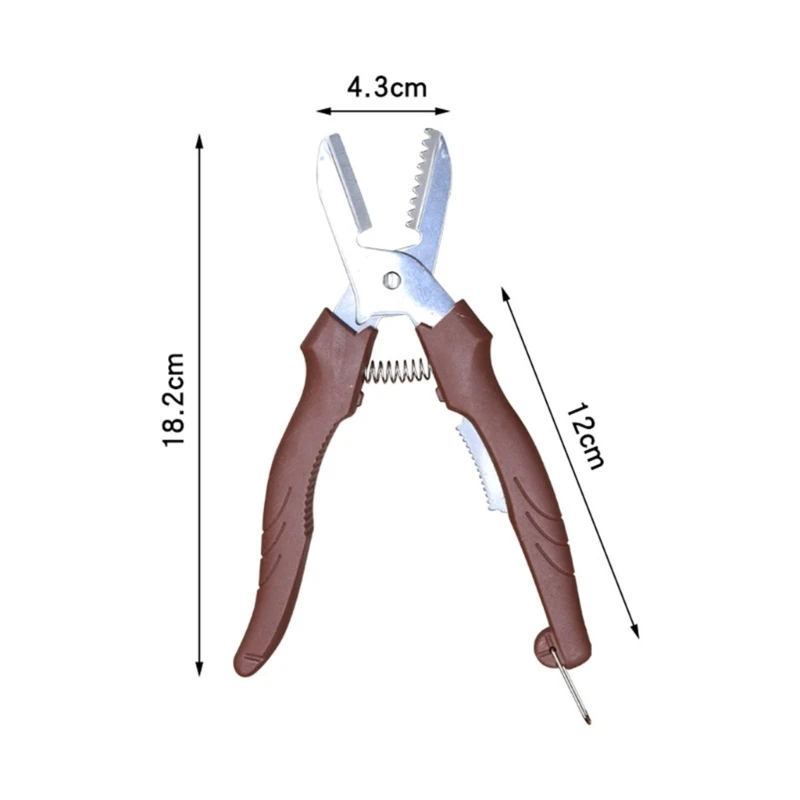 Professional Chestnut Shelling Tool Reliable Chestnut Sheller Chestnut Scissor Stainless Steel Material for Restaurant L9BE 6