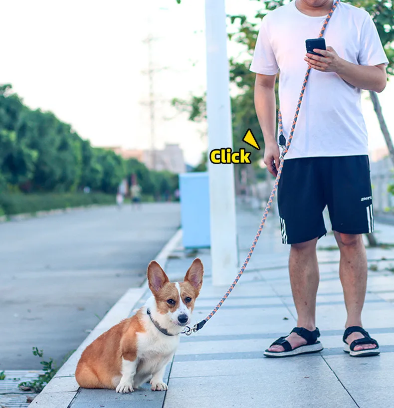 2.6M Hands Free Dog Slip Leash for Running Multifunctional Dog Training Leads Nylon Double Leash for Puppy Small & Large Dogs