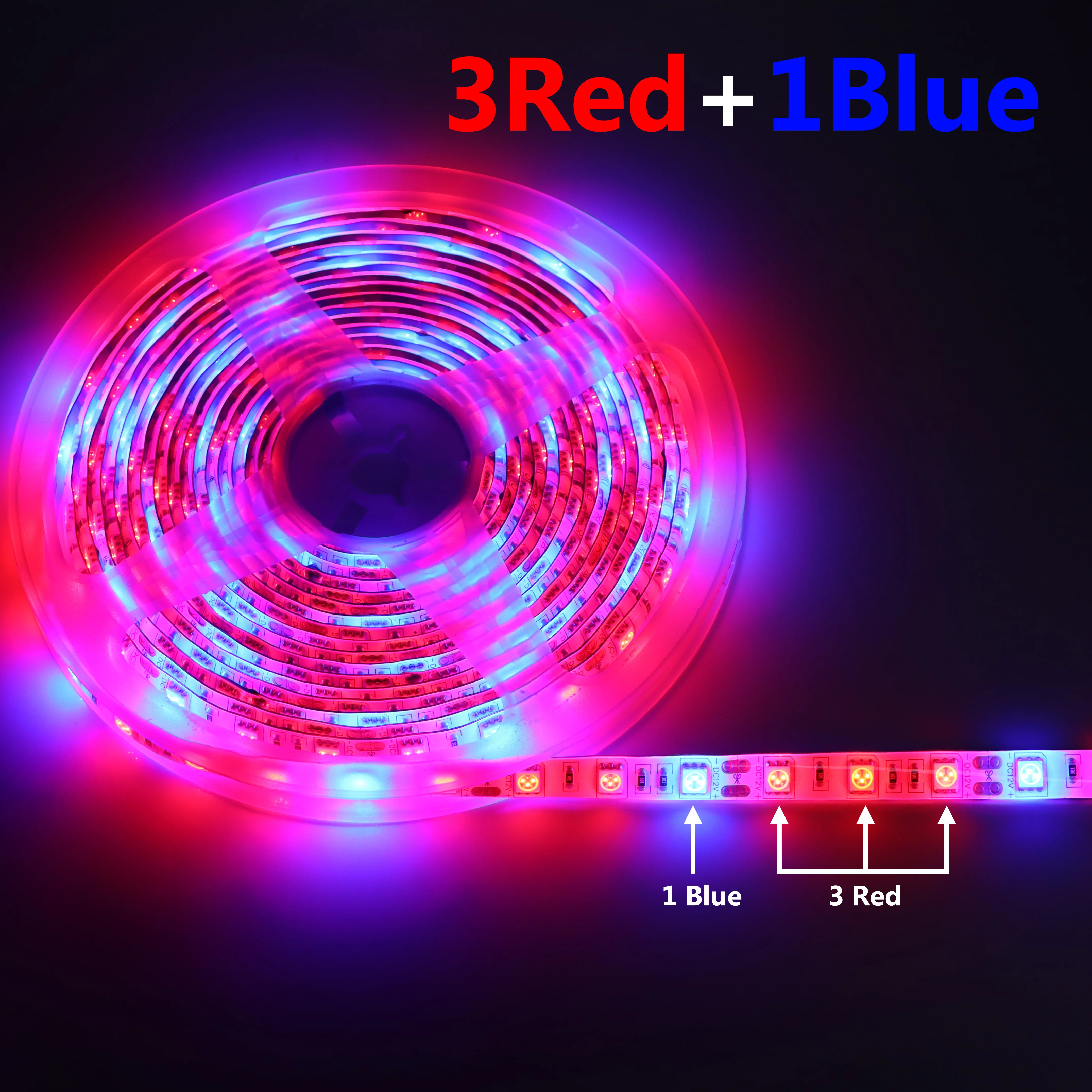 Slide image ed653ecce5204f95821bd24ddbc00493