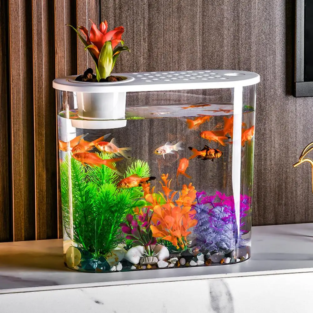 Stylish Desktop Fish Bowl with Holes And Lid Hydroponics Soil