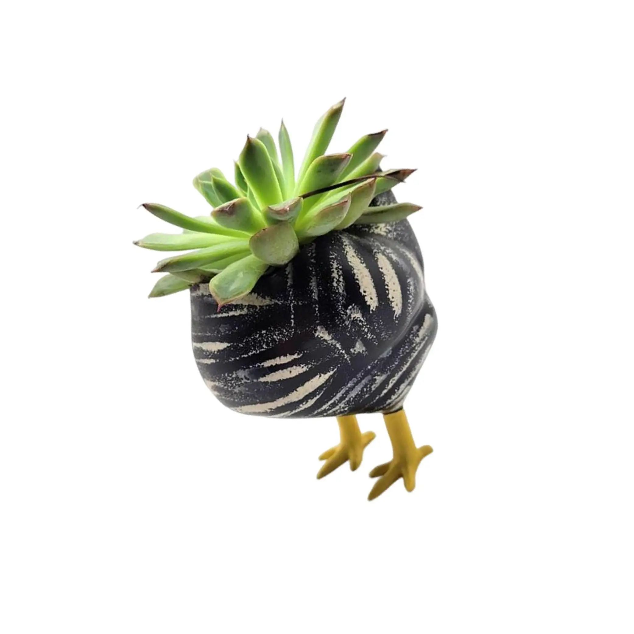 

Декоративный сочный плантатор Настольный цветочный горшок домашний офисный плантатор Декор