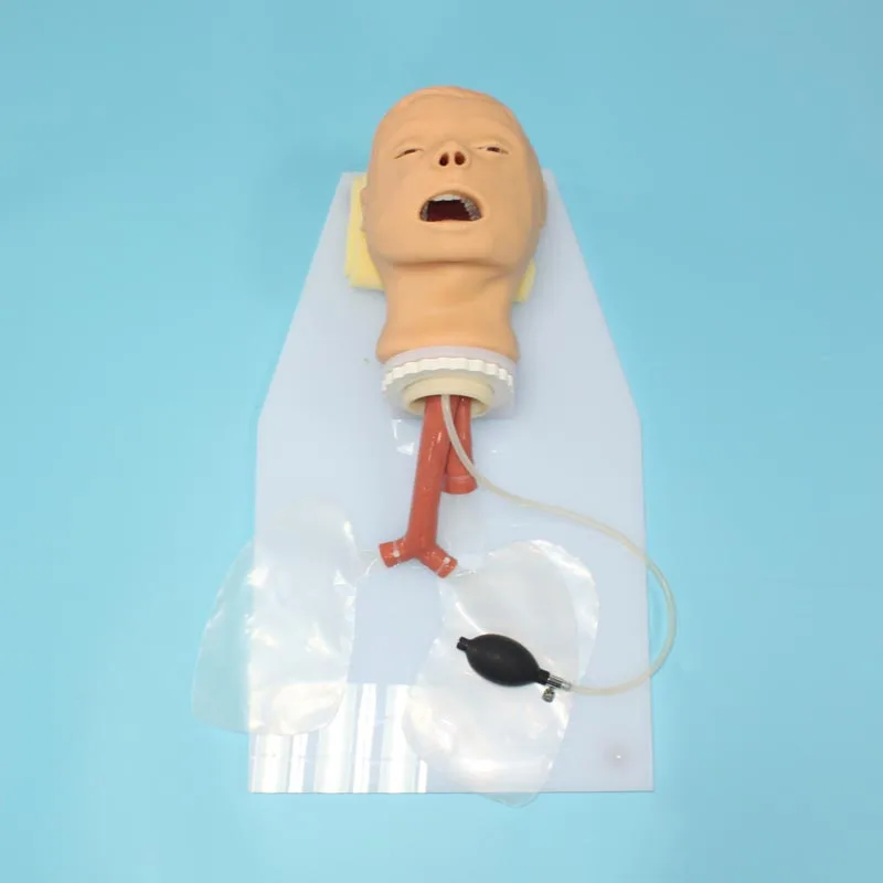 

Модель для интубации Trachea, обучение Manilkin BIX-J50