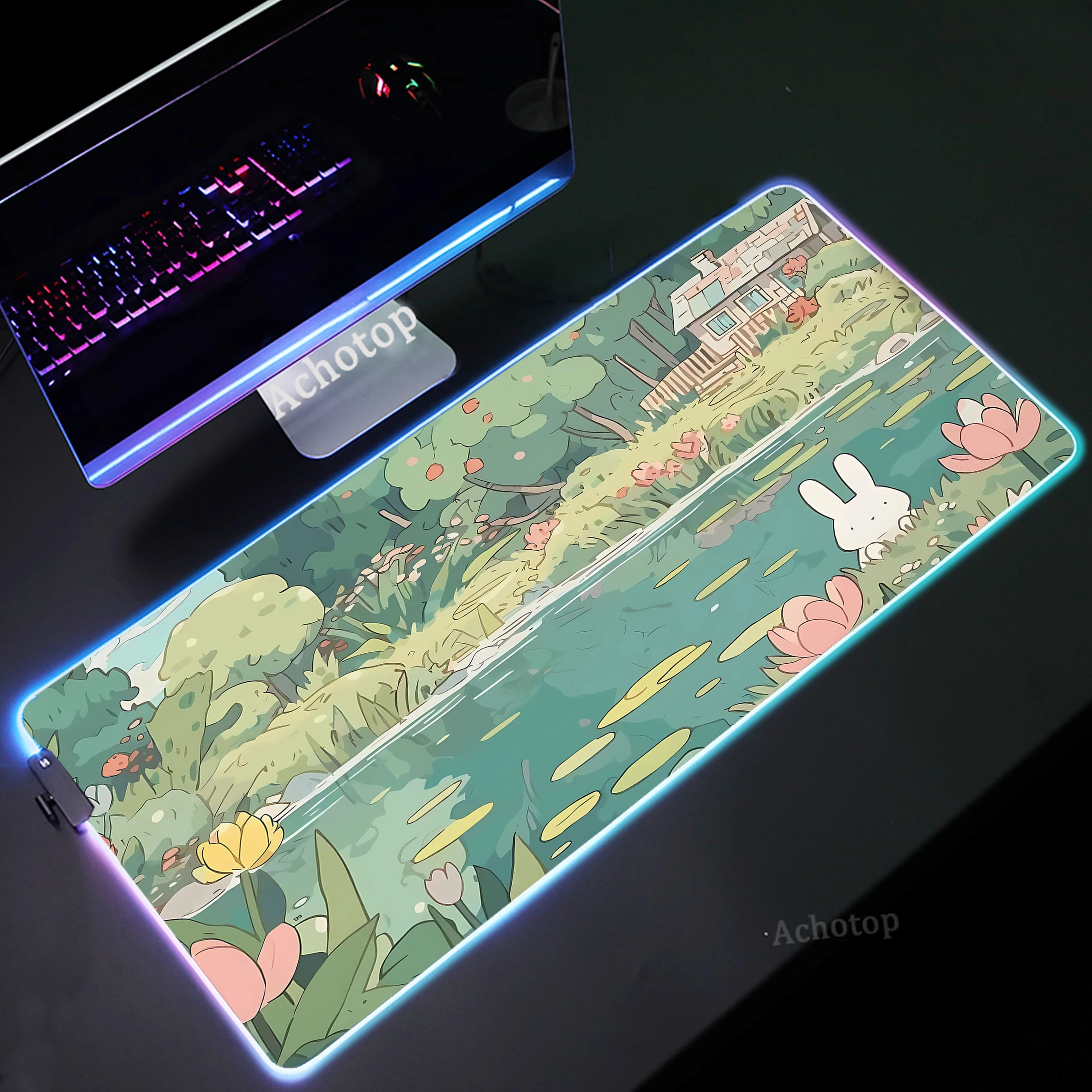 Рисунок 3 - Милый симпатичный коврик для мыши RGB