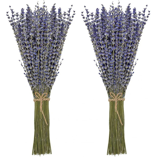 Pacotes de lavanda seca natural, Flores para casa, Decoração do casamento,  Arranjos de flores, Fragrância Home, Decoração Boho - AliExpress