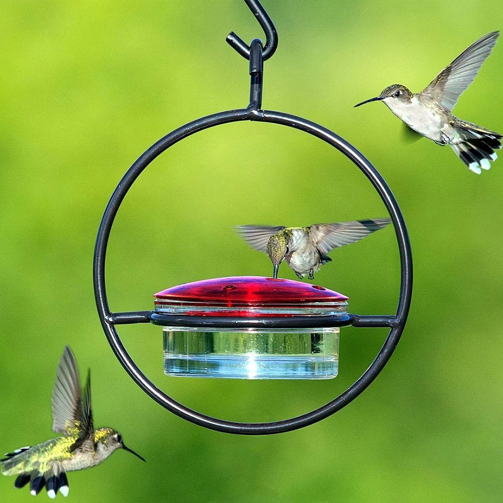 

Circular Hanging Hummingbird Feeder With Plastic Can Metal Support Small Hanging Humming Bird Feeder For Outdoor Feeders