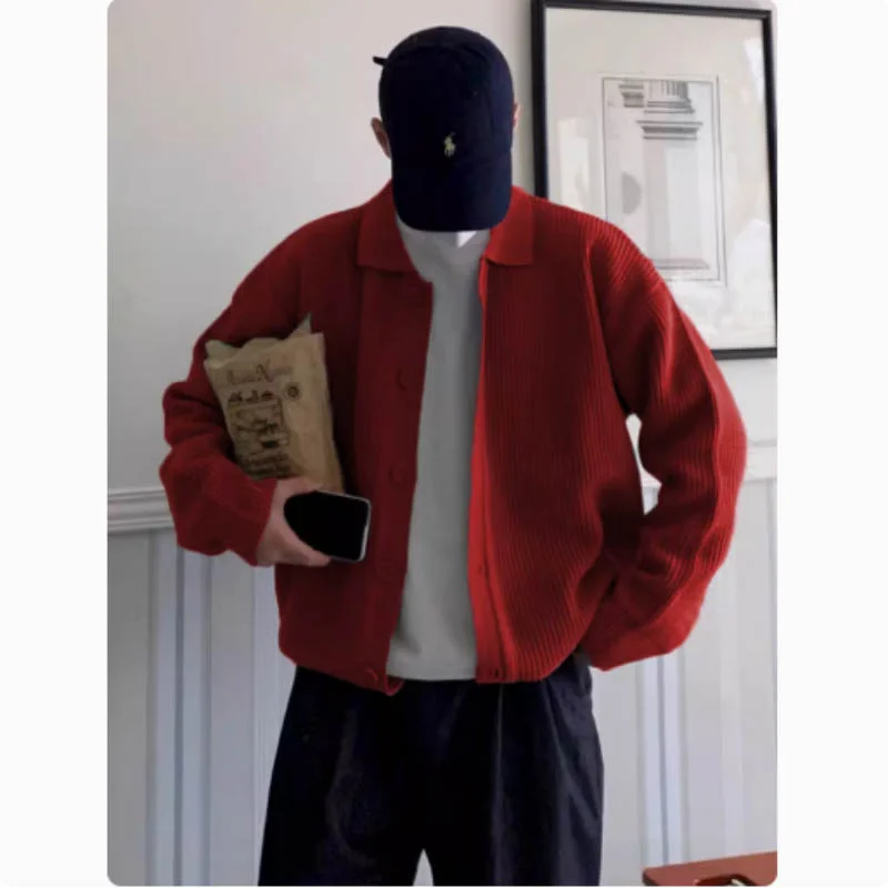 New Autumn and Winter Lapel Knitted Cardigan Jacket for Men Loose Lazy Style Sweater Korean Fashion Casual Top 5