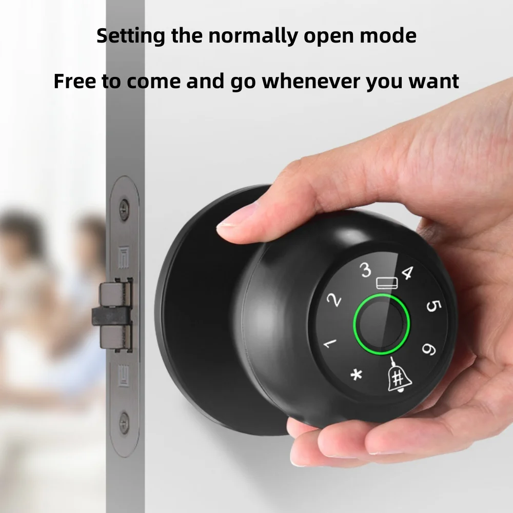 Tuya APP Remote Control Wifi Electronic Smart Door Lock With Biometric Camera Fingerprint Smart Card Password Key Unlock