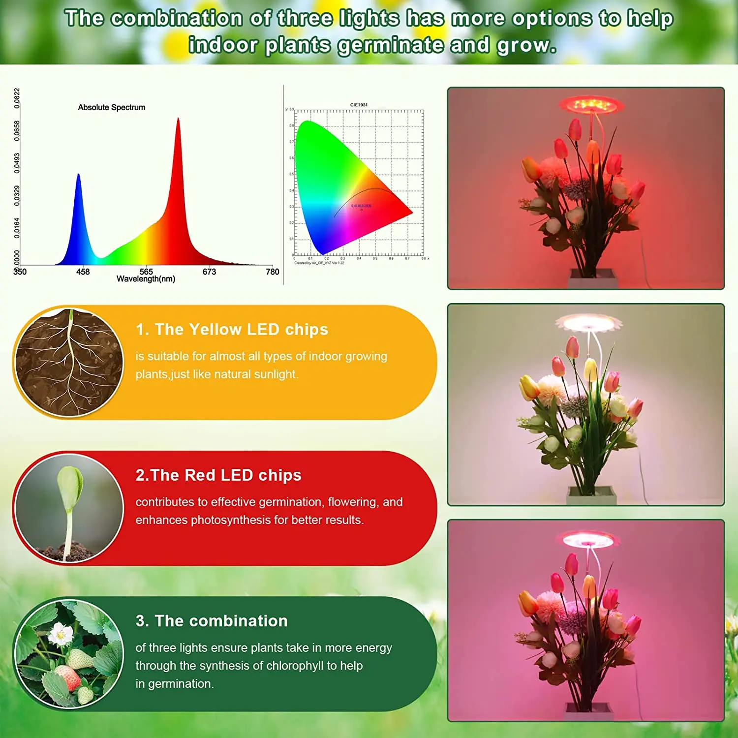 Lampada per la coltivazione delle piante Chlorophyll