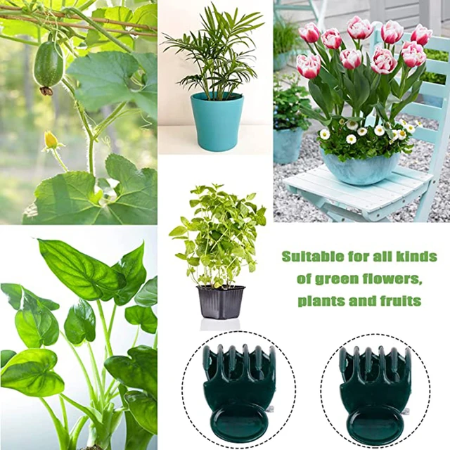 20Db Phalaenopsis Orchidea Kertészeti Szőlő Rögzítő Klip Műanyag Oltó Virágkerti Növényi Klipek A Szárbotok Rögzítéséhez - Image 5