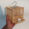 Grasshopper Cage, Bamboo Single Grid, Pure Handmade Bamboo Woven Cage, Classic Insect Crawling Tool with Drawer 1