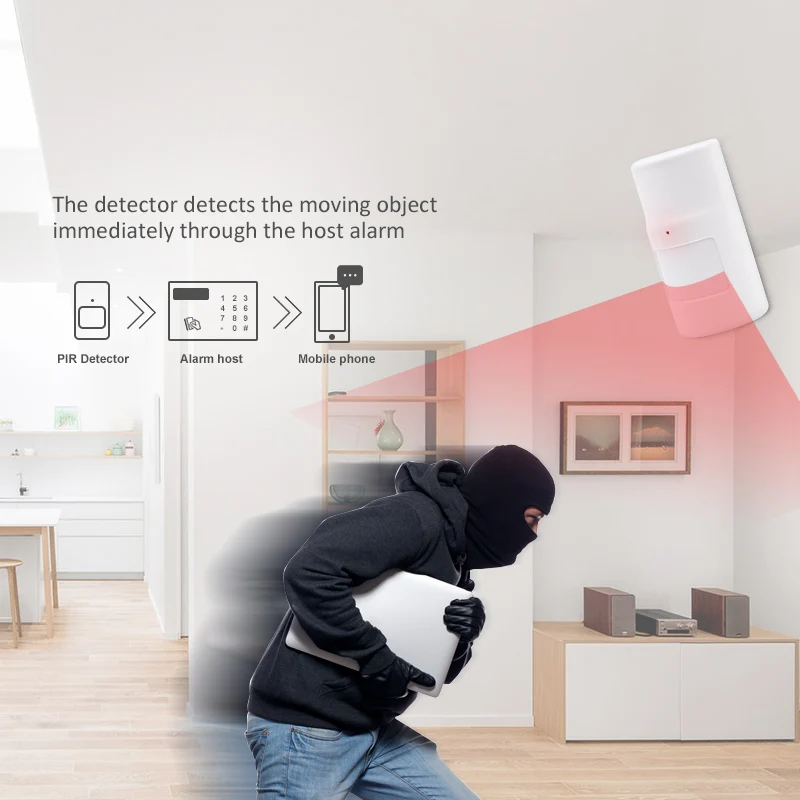 Comprehensive Guide to Motion Sensors: Characteristics, Functions, and Applications in Bangladesh 2 433MHz Wifi Infrared Alarm Detector Wireless Pir Motion Sensor Pet Immunity Guard Against Thieves Detects The Moving Object - AliExpress