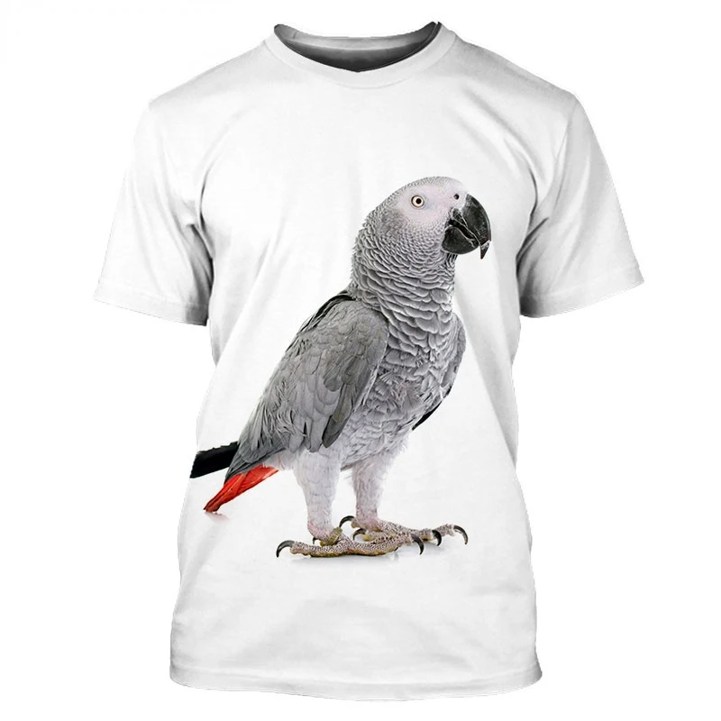 Grey Parrot 3D Print Oversized T Shirt for Men and Women